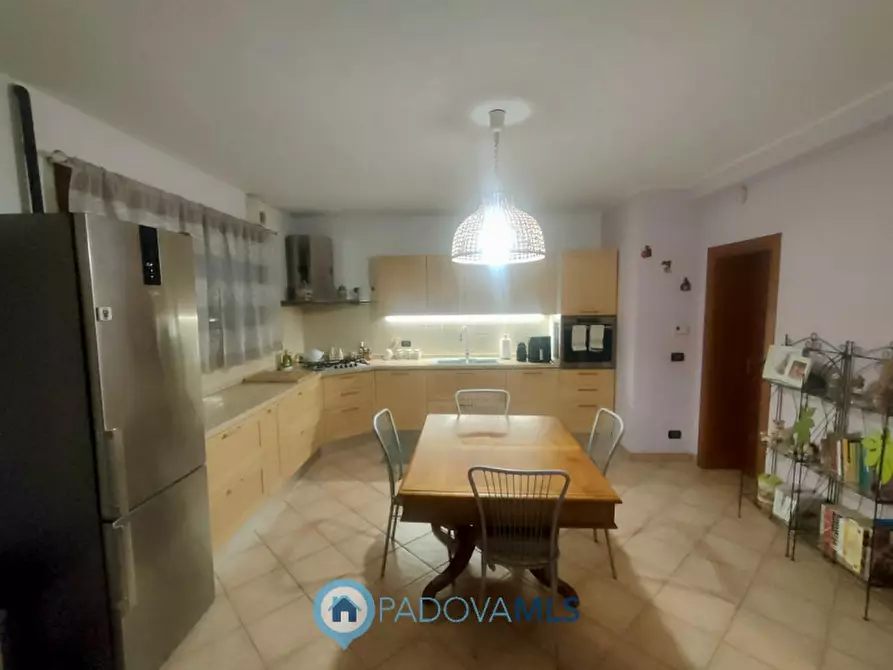 Immagine 13 di Appartamento in vendita  in via san leopoldo a Noventa Padovana