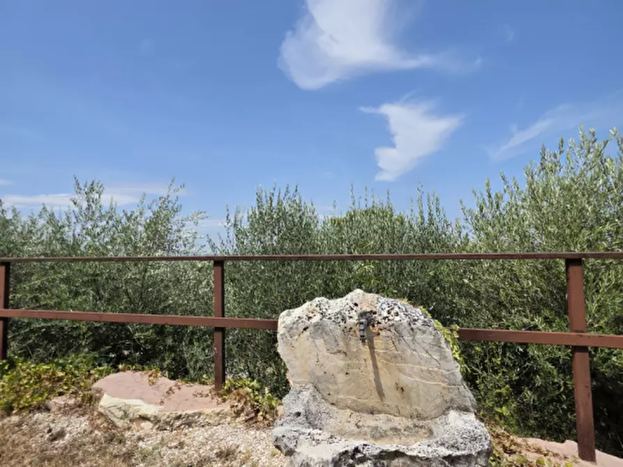 Immagine 3 di Rustico / casale in vendita  a Torgiano