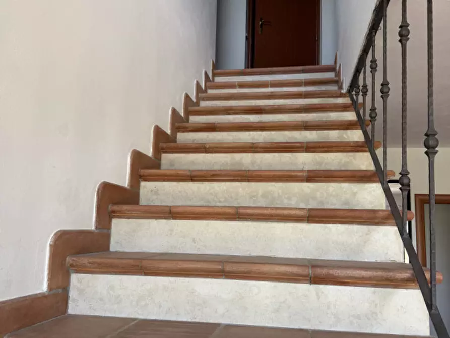 Immagine 17 di Rustico / casale in vendita  a Torgiano