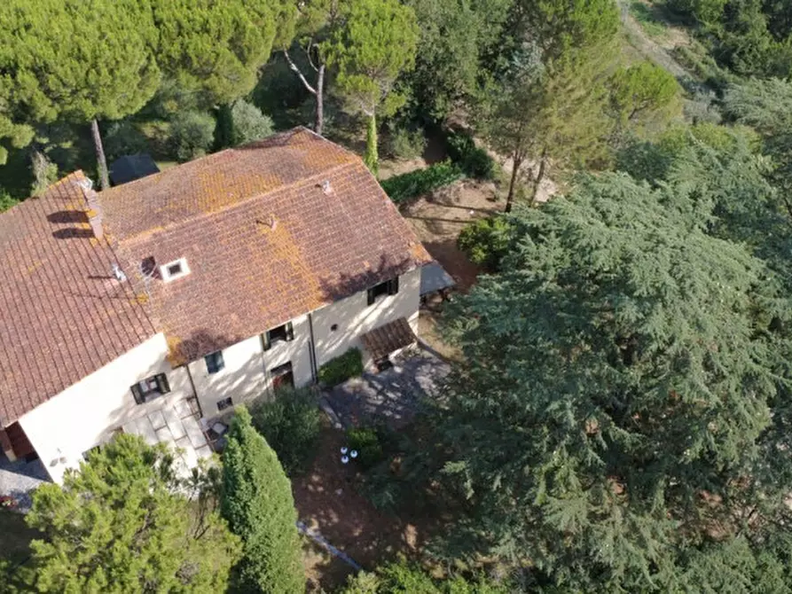 Immagine 17 di Casa indipendente in vendita  in Gavignano a Bucine