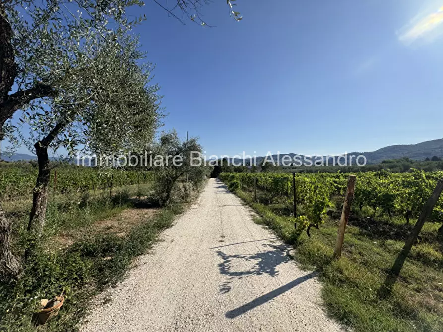 Immagine 4 di Rustico / casale in affitto  in Via Del Cerreto a Bagno A Ripoli