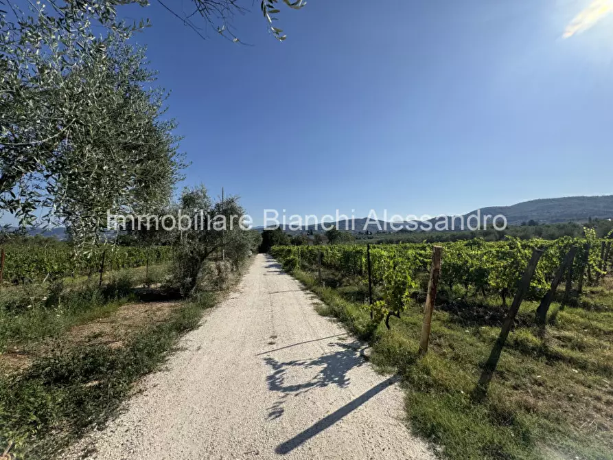 Immagine 2 di Rustico / casale in affitto  in Via Del Cerreto a Bagno A Ripoli