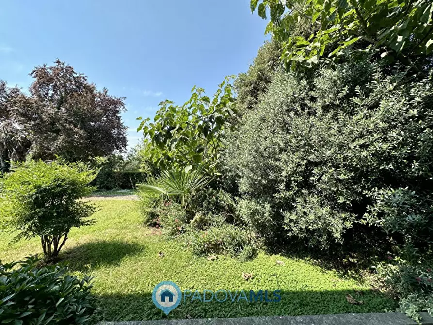 Immagine 16 di Casa bifamiliare in vendita  in Via Caneva a Bovolenta