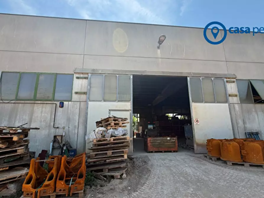 Immagine 2 di Capannone industriale in vendita  in Via del lavoro a Boara Pisani