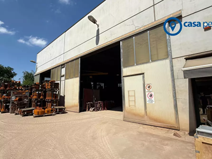 Immagine 3 di Capannone industriale in vendita  in Via del lavoro a Boara Pisani