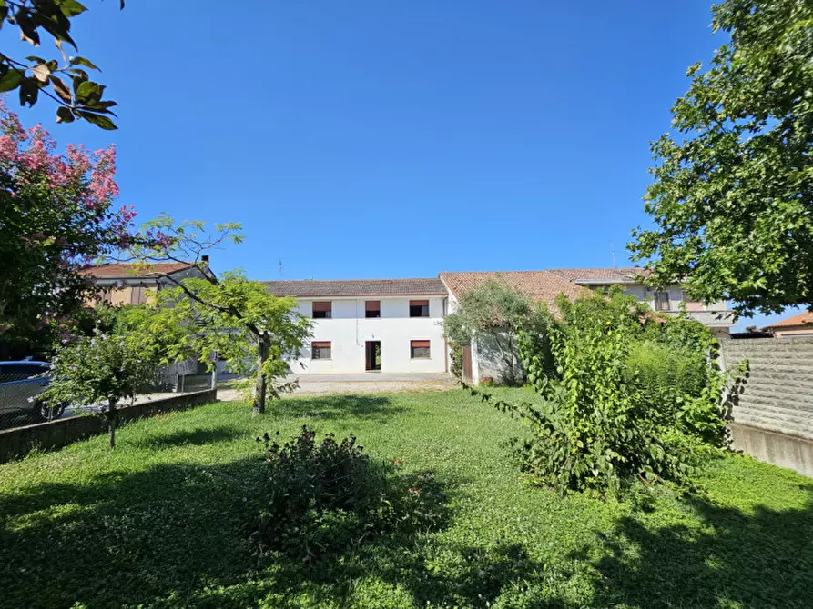 Immagine 6 di Casa indipendente in vendita  in VIA PESCARA a Montagnana