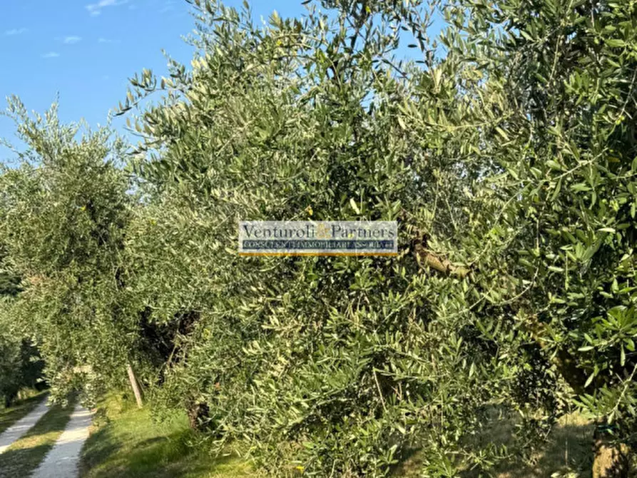 Immagine 4 di Rustico / casale in vendita  in via Vallone della selva a San Felice Del Benaco