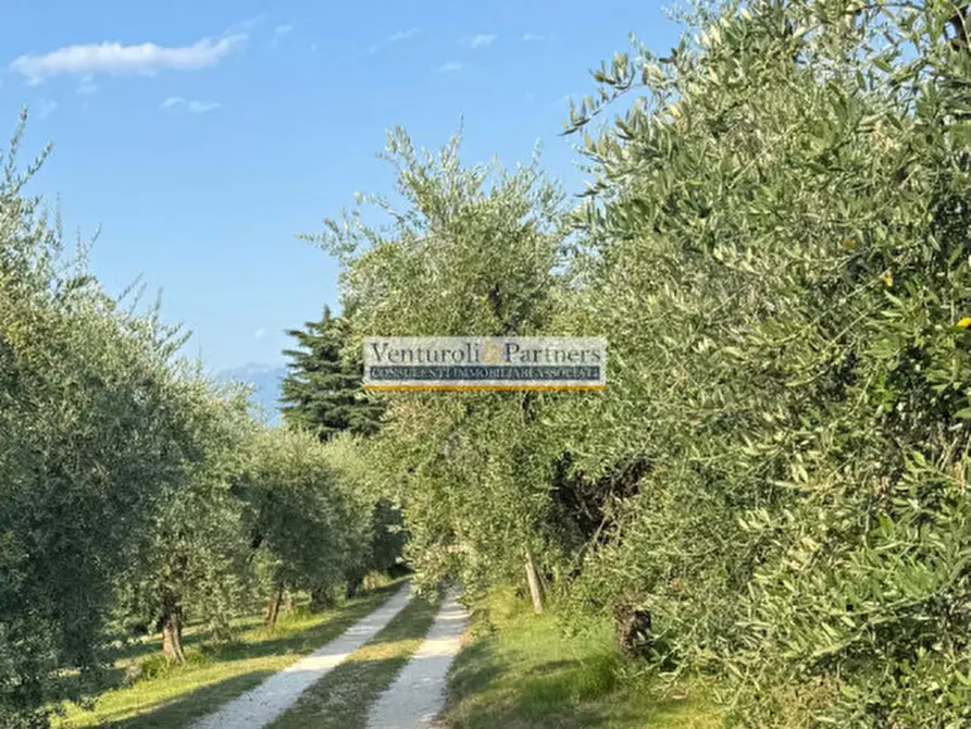 Immagine 5 di Rustico / casale in vendita  in via Vallone della selva a San Felice Del Benaco