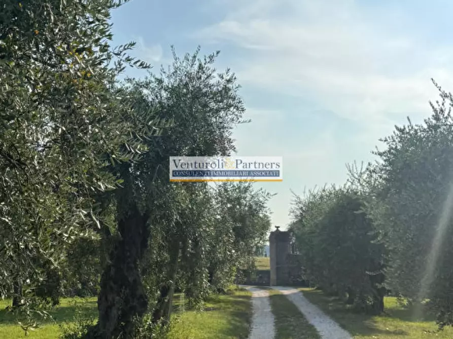 Immagine 6 di Rustico / casale in vendita  in via Vallone della selva a San Felice Del Benaco