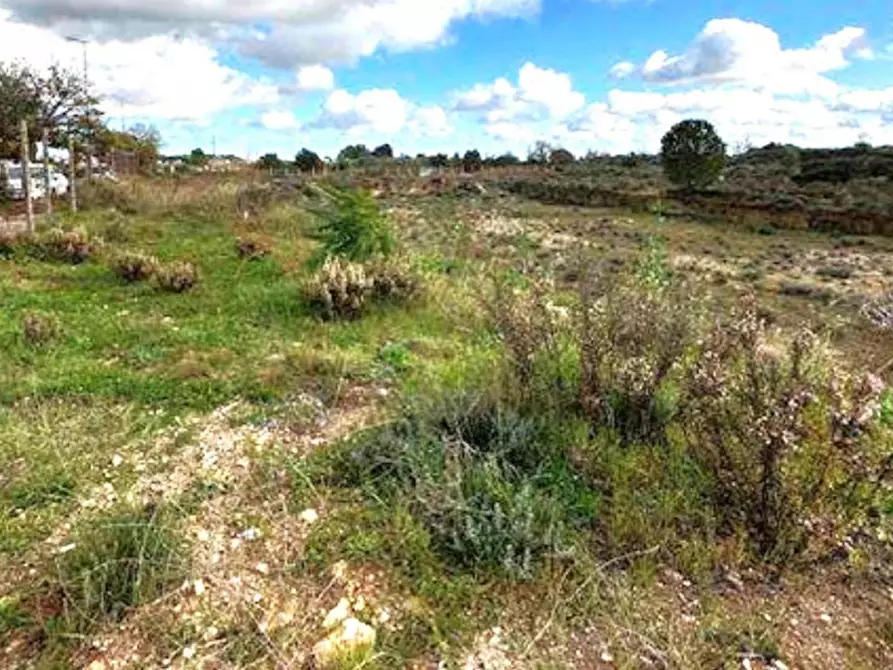 Immagine 3 di Terreno in vendita  in Via Pantaleo Ingusci, 73020 Cavallino LE, Italia a Cavallino