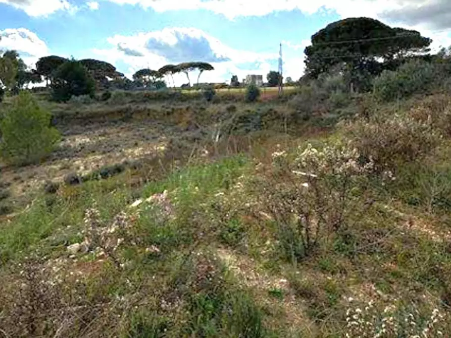 Immagine 4 di Terreno in vendita  in Via Pantaleo Ingusci, 73020 Cavallino LE, Italia a Cavallino