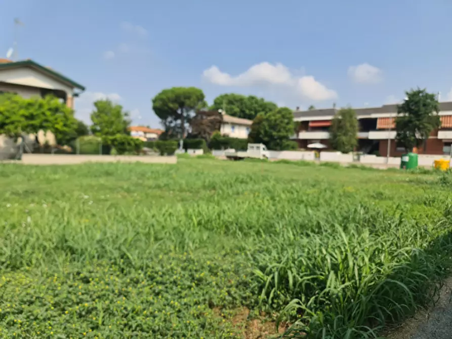 Immagine 7 di Terreno in vendita  in VIA DEL MARE a Lagosanto