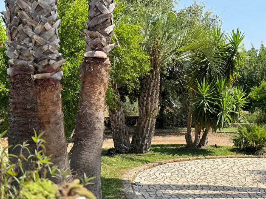 Immagine 2 di Villa in vendita  in Strada Vicinale Fiusco a Tuglie