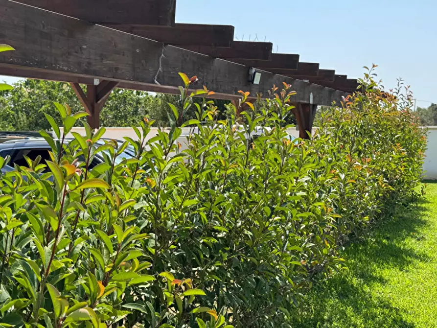 Immagine 15 di Villa in vendita  in Strada Vicinale Fiusco a Tuglie