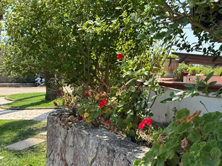 Immagine 17 di Villa in vendita  in Strada Vicinale Fiusco a Tuglie