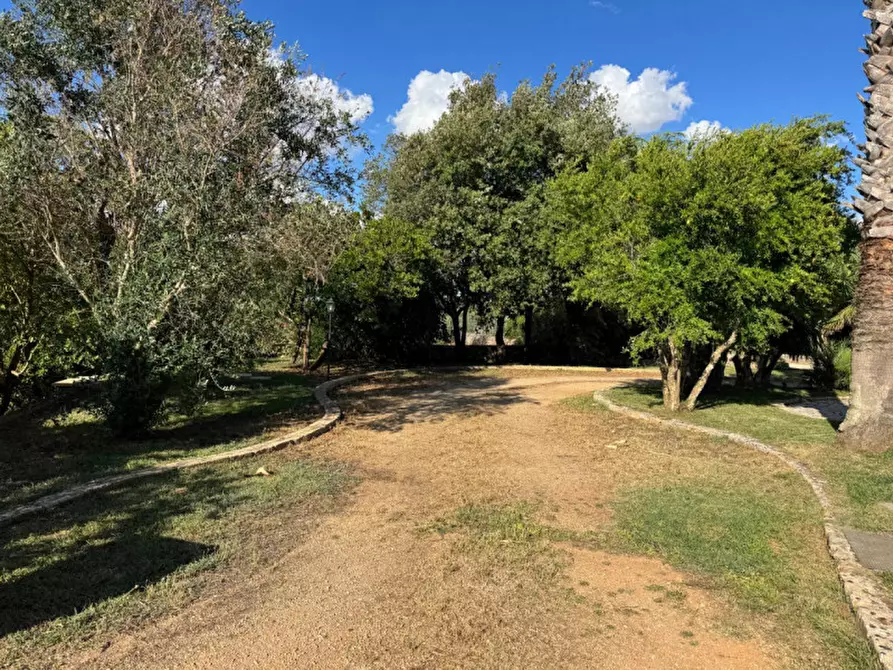 Immagine 19 di Villa in vendita  in Strada Vicinale Fiusco a Tuglie