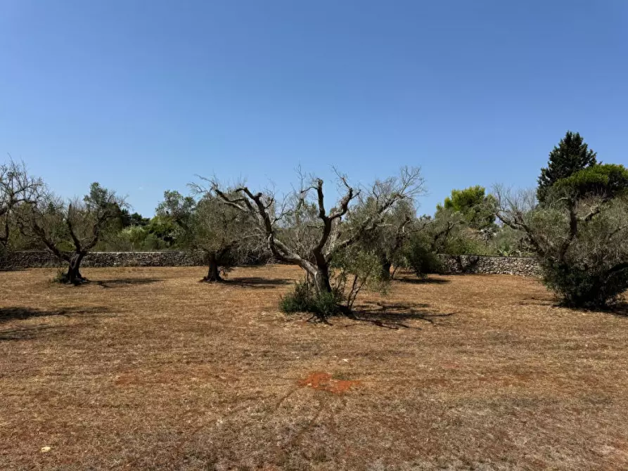 Immagine 78 di Villa in vendita  in Strada Vicinale Fiusco a Tuglie