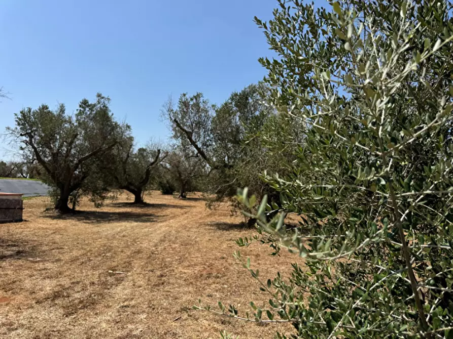 Immagine 96 di Villa in vendita  in Strada Vicinale Fiusco a Tuglie