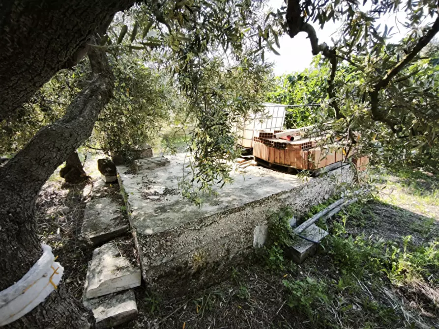 Immagine 5 di Villa in vendita  in CONTRADA SAN GIUSEPPE a Andria