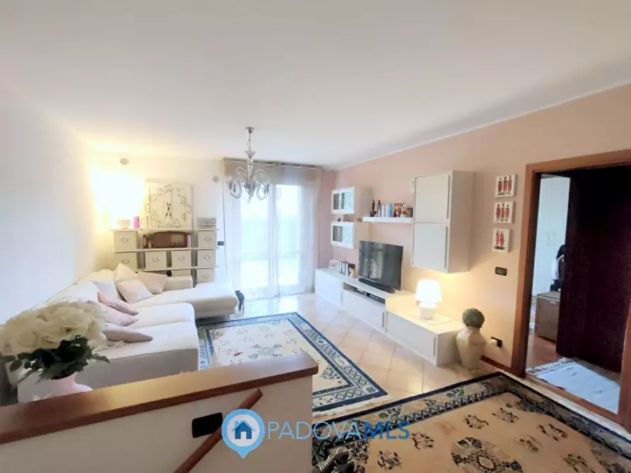 Immagine 3 di Appartamento in vendita  in Via San Leopoldo a Noventa Padovana