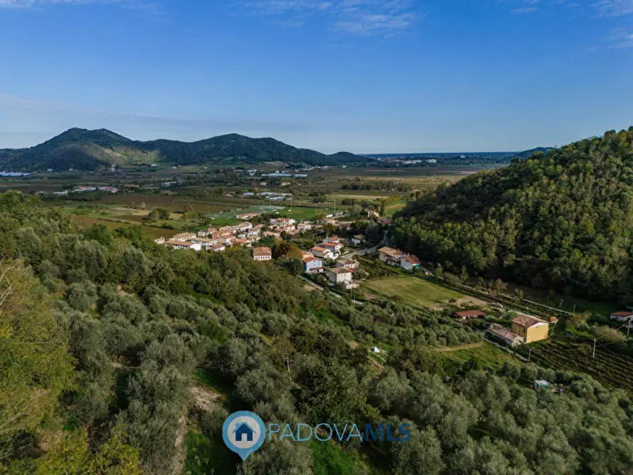 Immagine 2 di Villa in vendita  in via fratelli cervi a Galzignano Terme