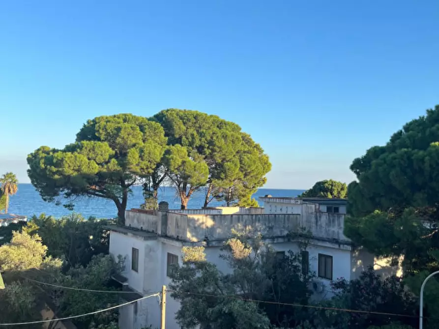 Immagine 32 di Appartamento in vendita  a Montauro