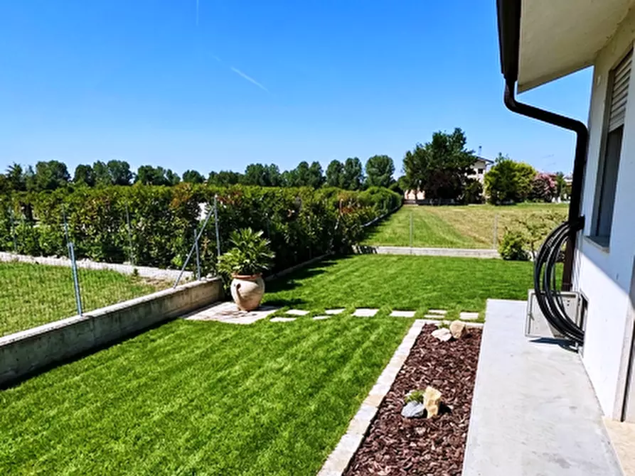 Immagine 2 di Villetta a schiera in vendita  a Badia Polesine