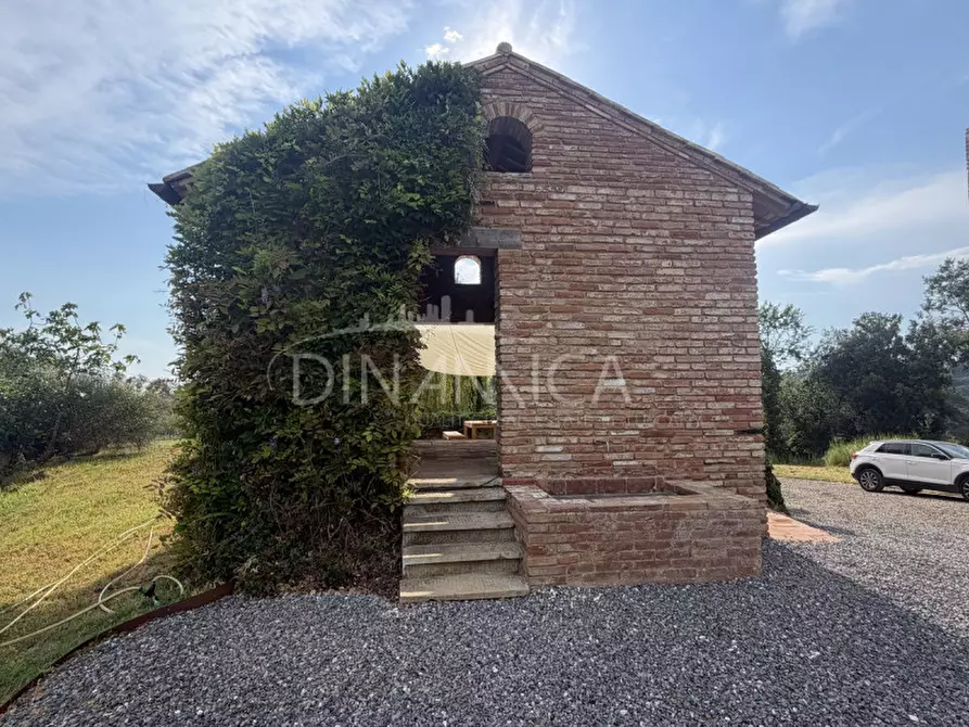 Immagine 5 di Rustico / casale in vendita  a Palaia