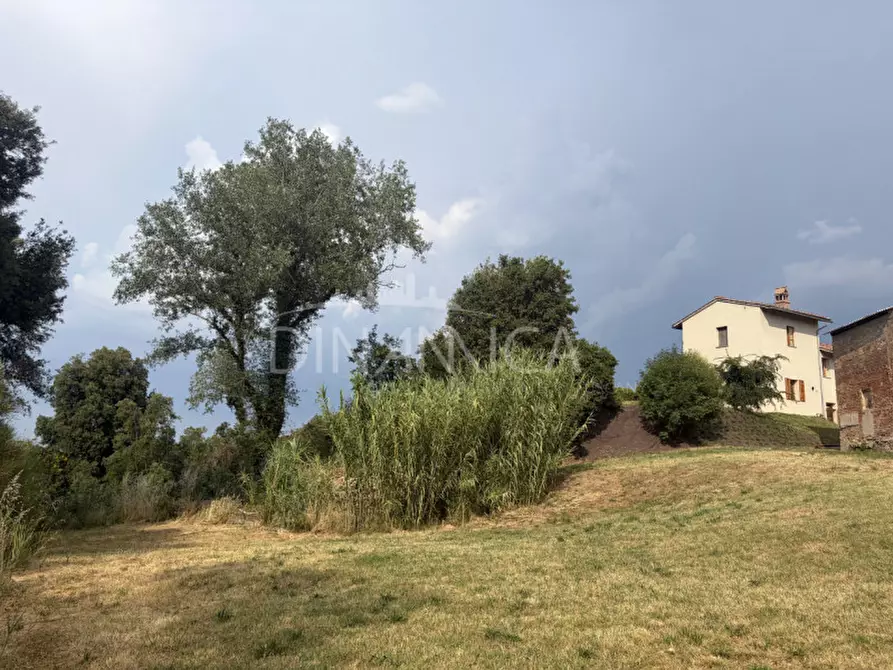 Immagine 9 di Rustico / casale in vendita  a Palaia