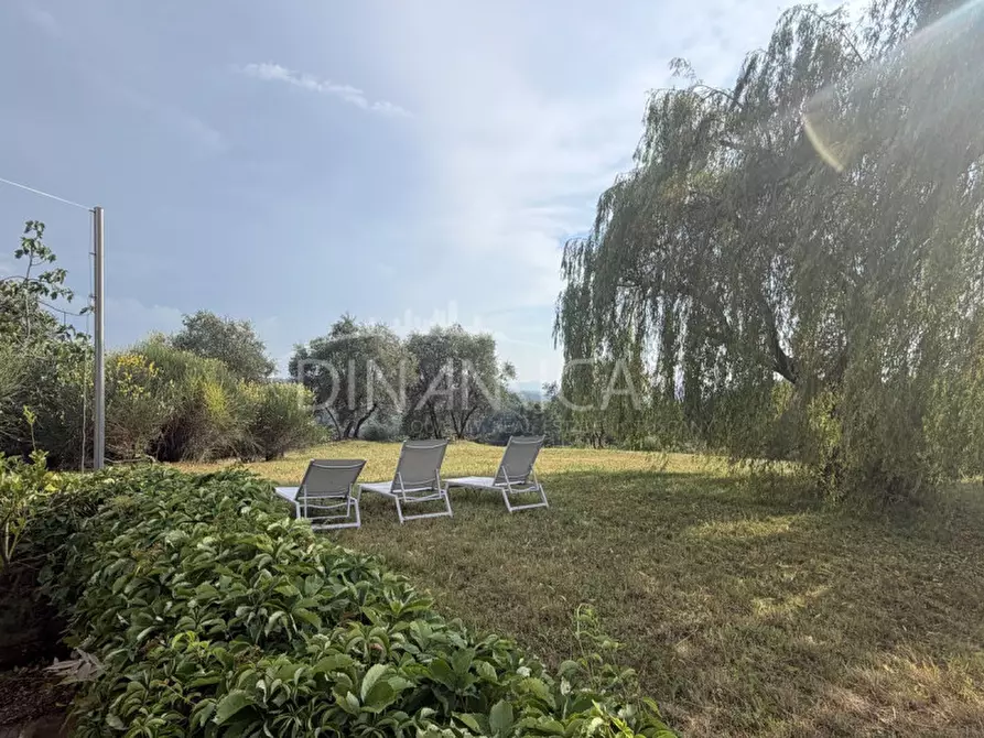 Immagine 13 di Rustico / casale in vendita  a Palaia