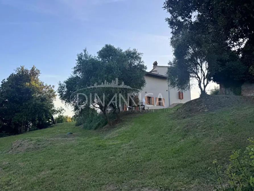 Immagine 17 di Rustico / casale in vendita  a Palaia