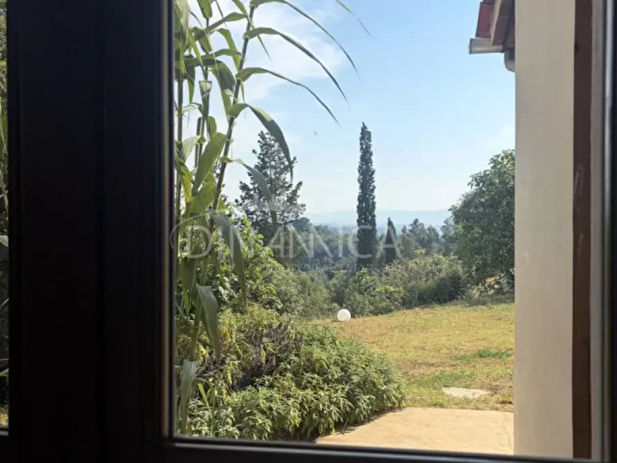 Immagine 18 di Rustico / casale in vendita  a Palaia