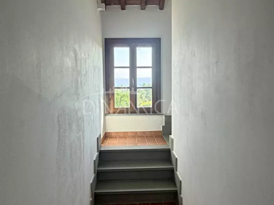 Immagine 36 di Rustico / casale in vendita  a Palaia