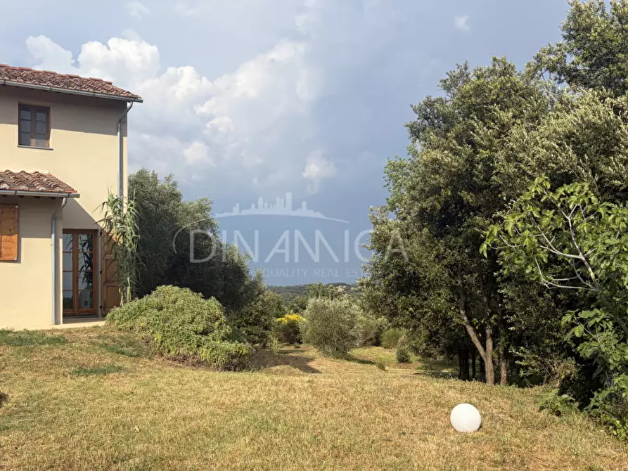 Immagine 46 di Rustico / casale in vendita  a Palaia