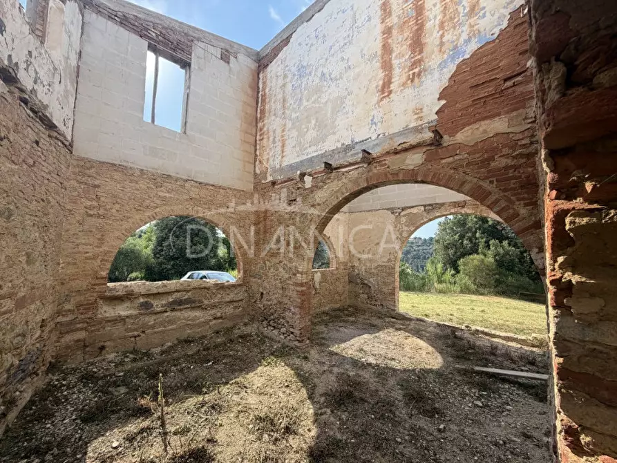 Immagine 47 di Rustico / casale in vendita  a Palaia