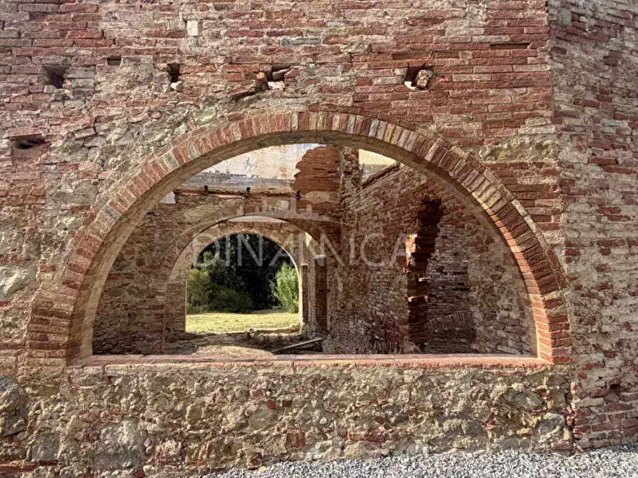 Immagine 48 di Rustico / casale in vendita  a Palaia
