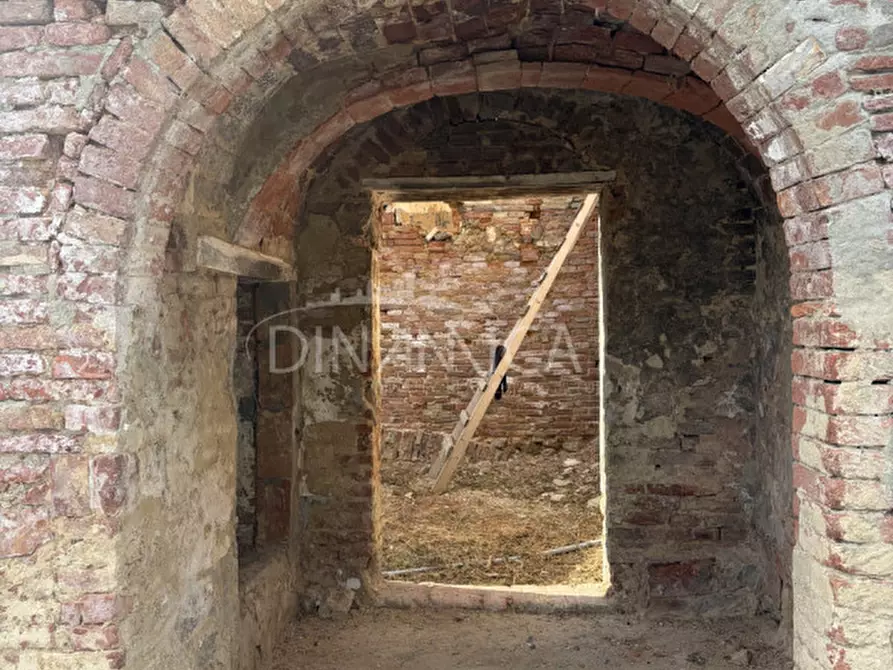Immagine 49 di Rustico / casale in vendita  a Palaia