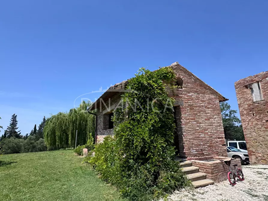 Immagine 50 di Rustico / casale in vendita  a Palaia