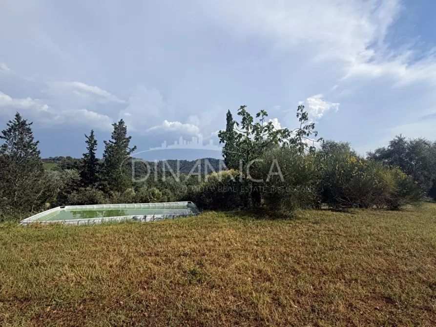 Immagine 52 di Rustico / casale in vendita  a Palaia