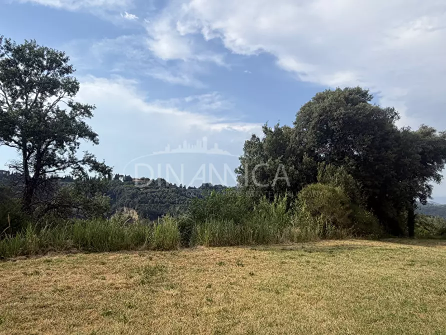 Immagine 54 di Rustico / casale in vendita  a Palaia