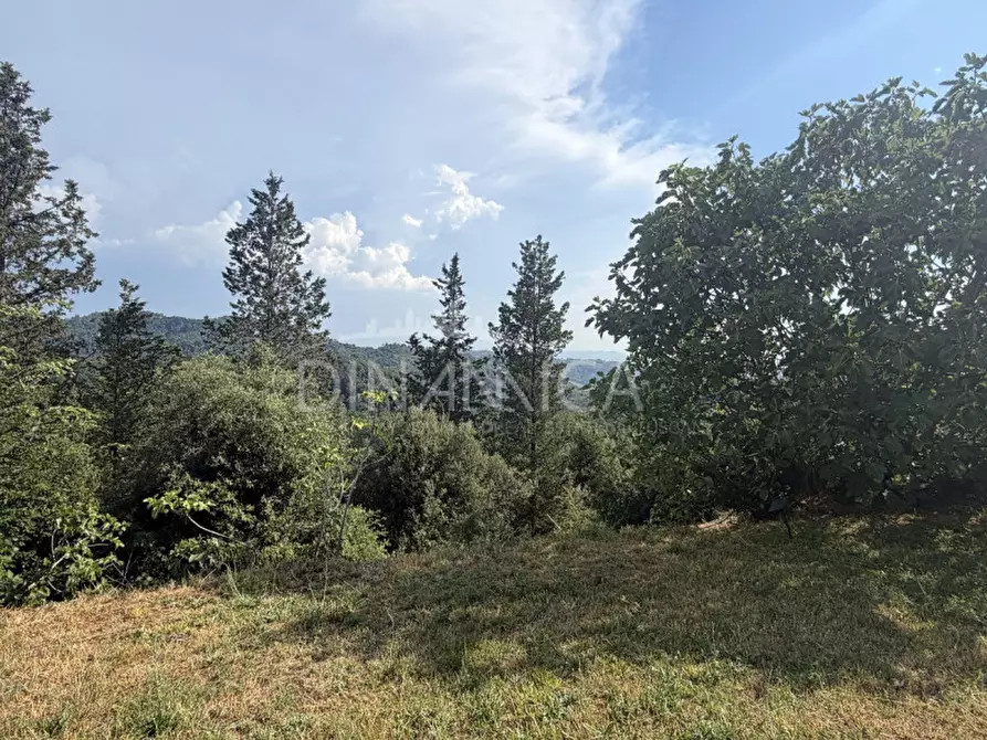 Immagine 55 di Rustico / casale in vendita  a Palaia