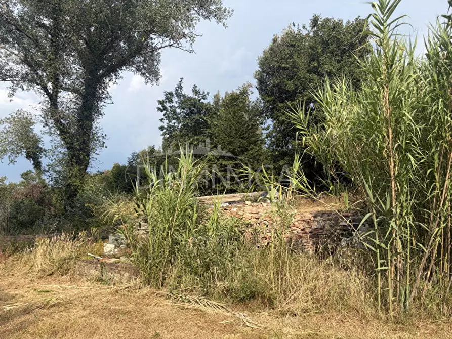Immagine 56 di Rustico / casale in vendita  a Palaia