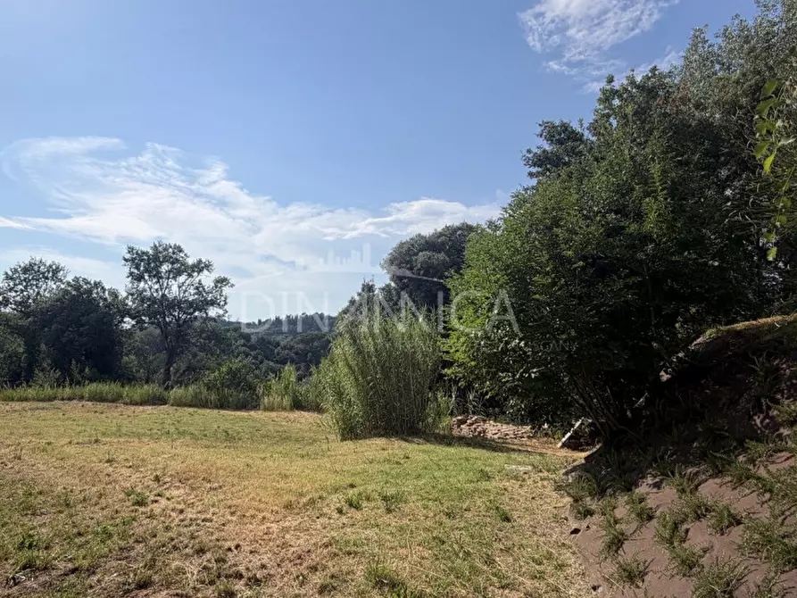 Immagine 57 di Rustico / casale in vendita  a Palaia