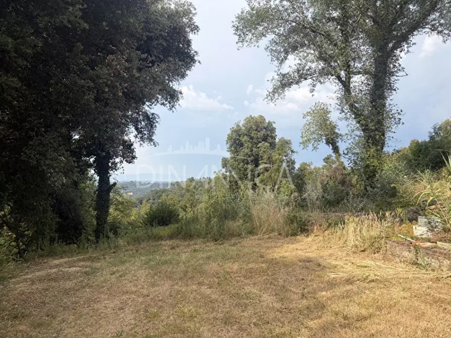 Immagine 58 di Rustico / casale in vendita  a Palaia