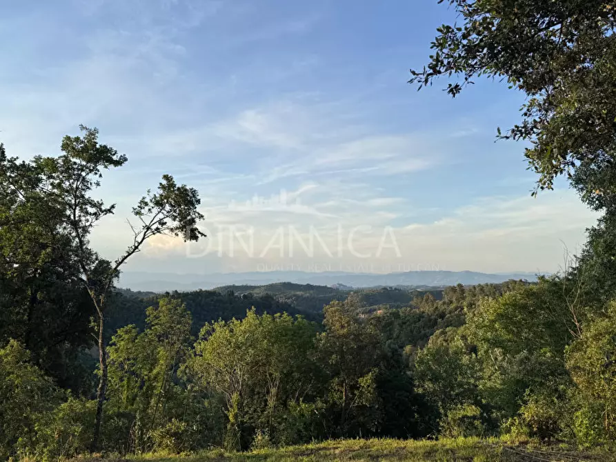 Immagine 59 di Rustico / casale in vendita  a Palaia