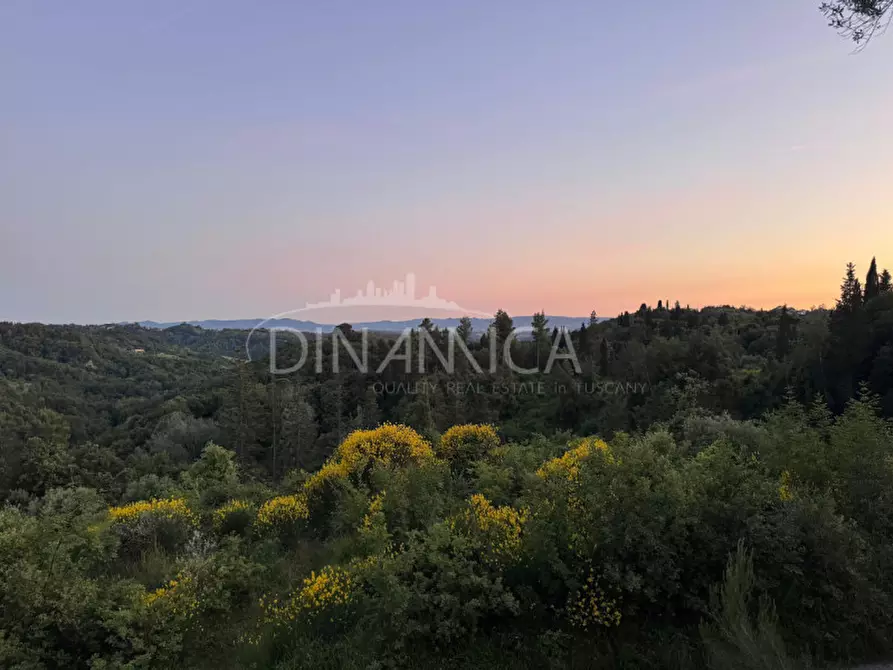 Immagine 60 di Rustico / casale in vendita  a Palaia