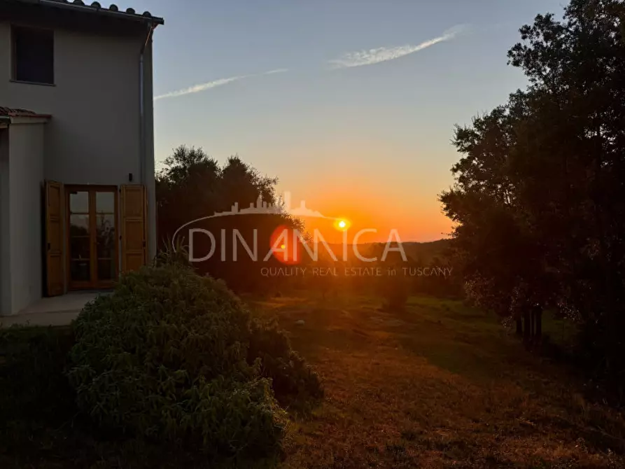 Immagine 61 di Rustico / casale in vendita  a Palaia