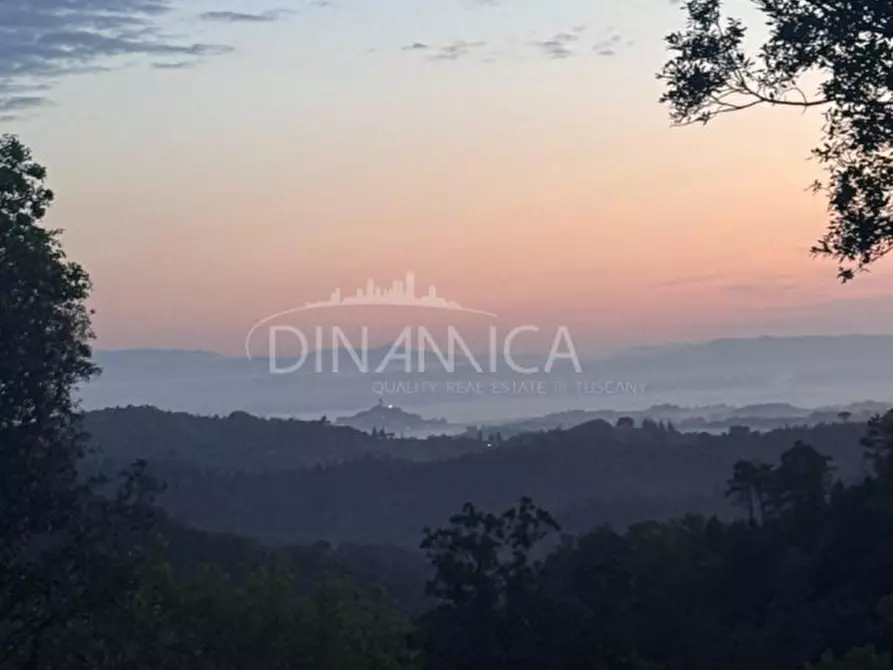 Immagine 62 di Rustico / casale in vendita  a Palaia