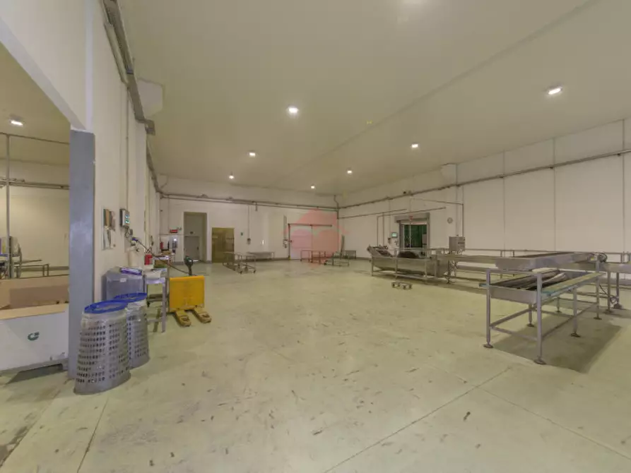 Immagine 18 di Capannone industriale in vendita  in Via Sandro Pertini a Melzo