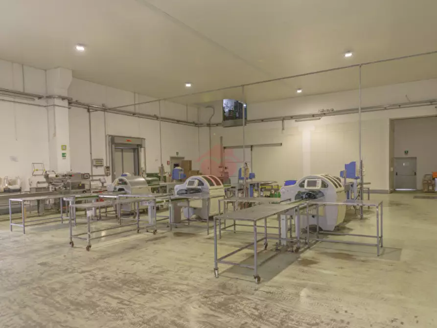 Immagine 26 di Capannone industriale in vendita  in Via Sandro Pertini a Melzo